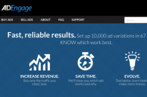 AdEngage Review